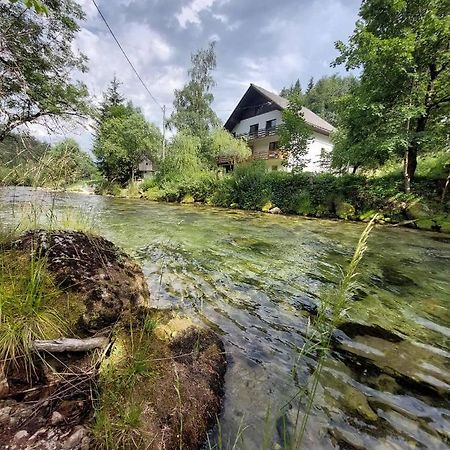 The Riverside Chill Hostel Bled Esterno foto