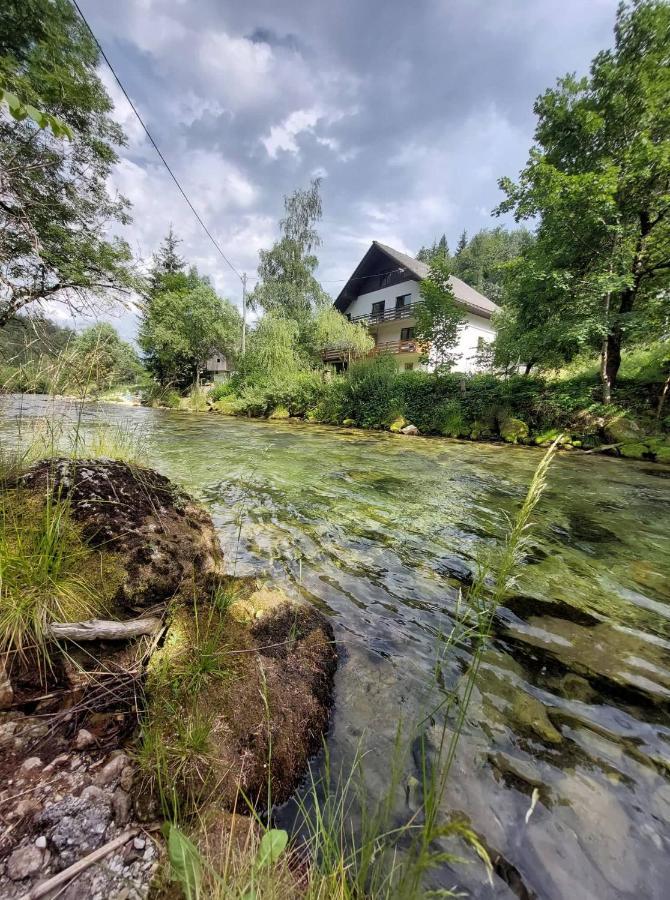 The Riverside Chill Hostel Bled Esterno foto