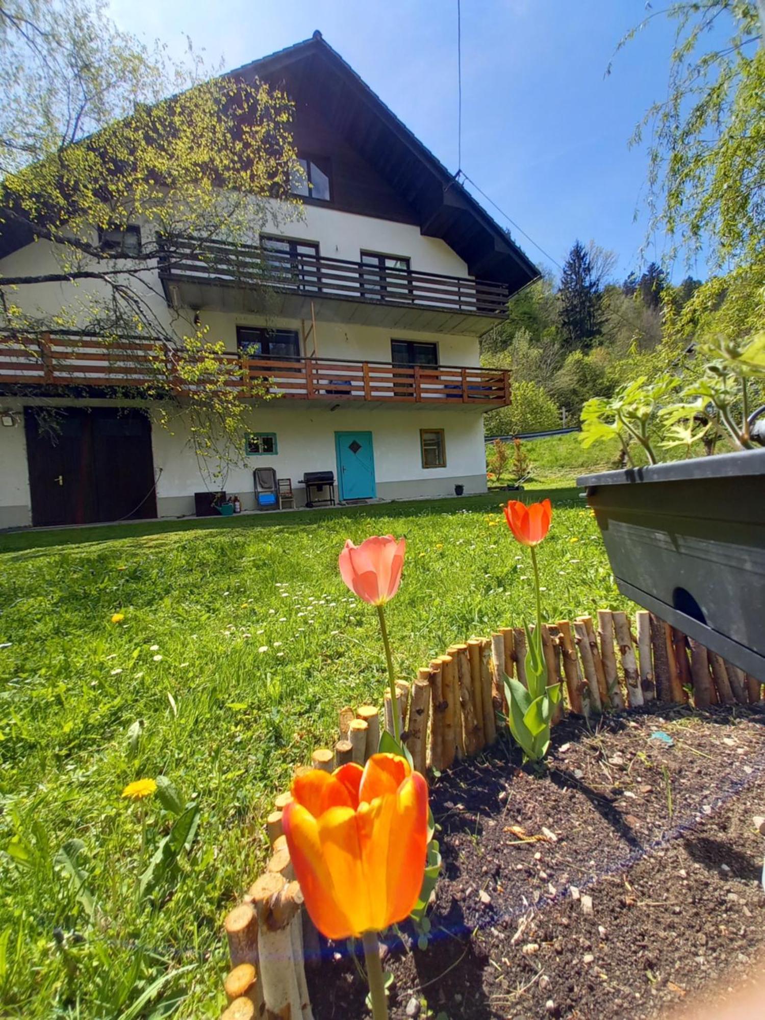 The Riverside Chill Hostel Bled Esterno foto